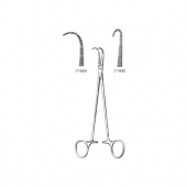 Bronchus Forceps